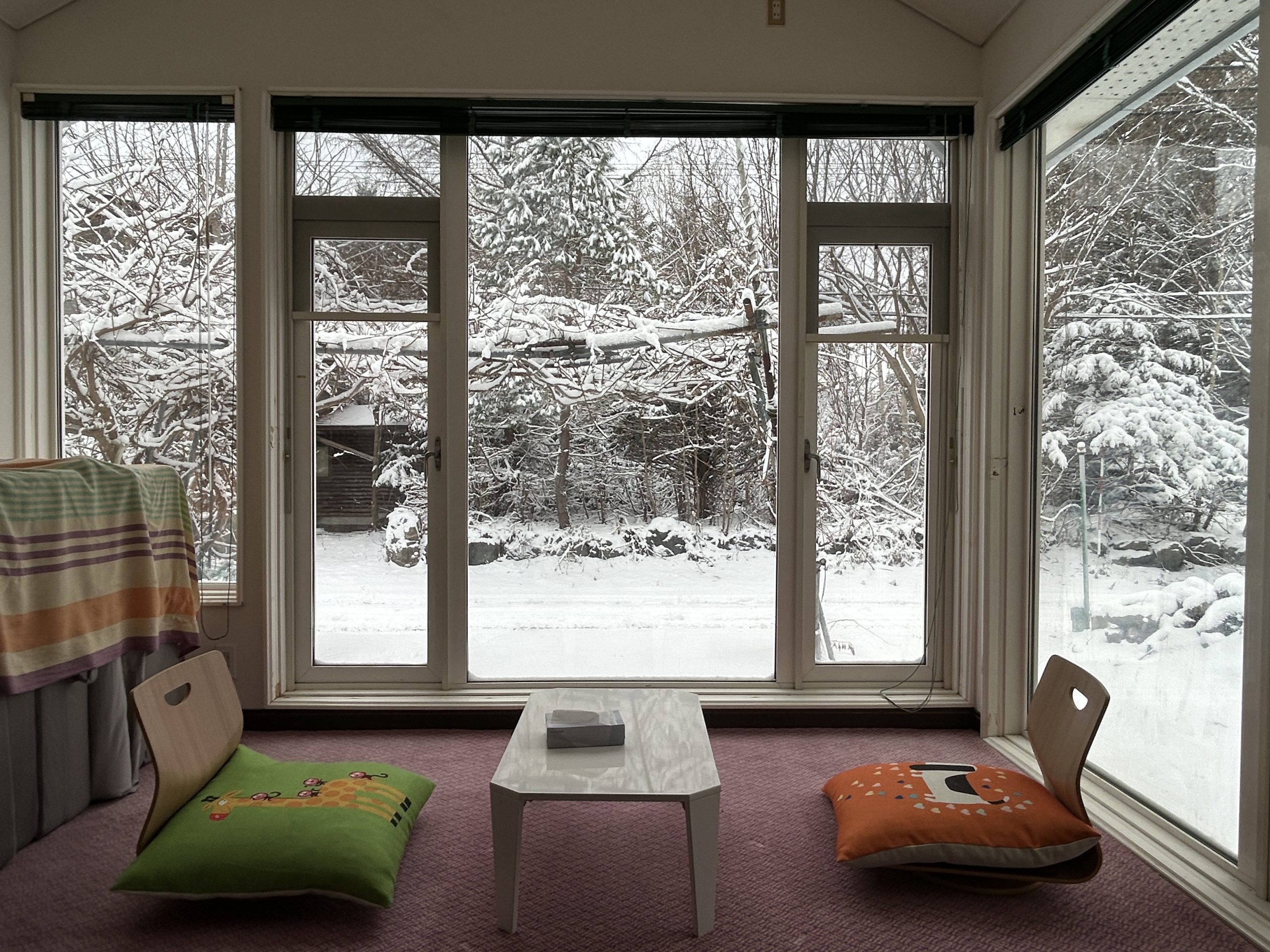 川湯温泉6丁目(冬景色)